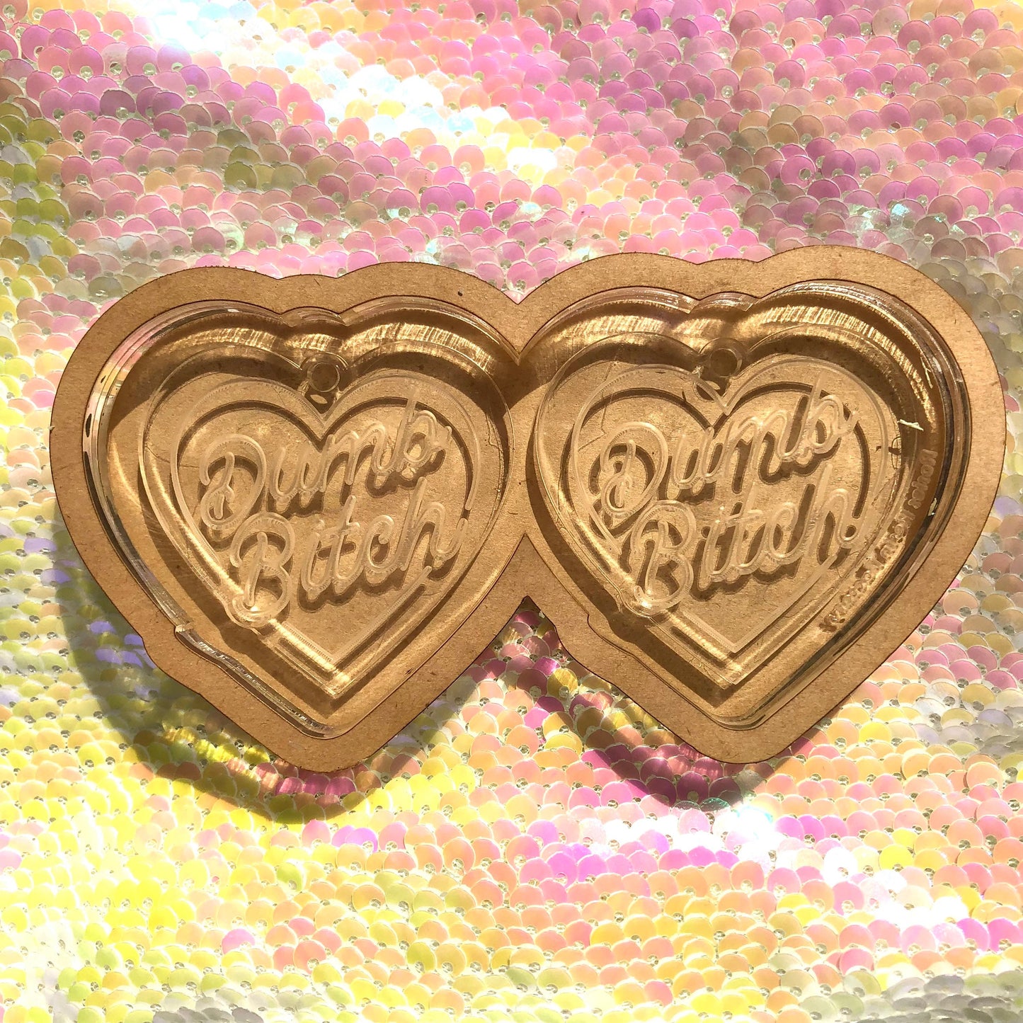 Dumb Bitch Earrings Silicone Mold for Resin