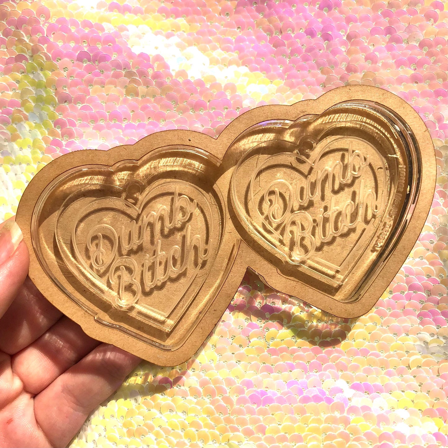 Dumb Bitch Earrings Silicone Mold for Resin