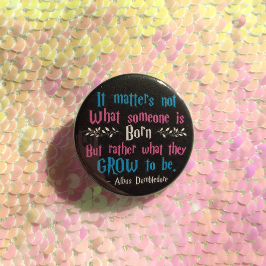 It Matters Not Trans Pride Button